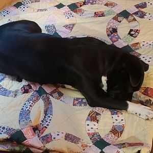 Meet your Posher, Dean